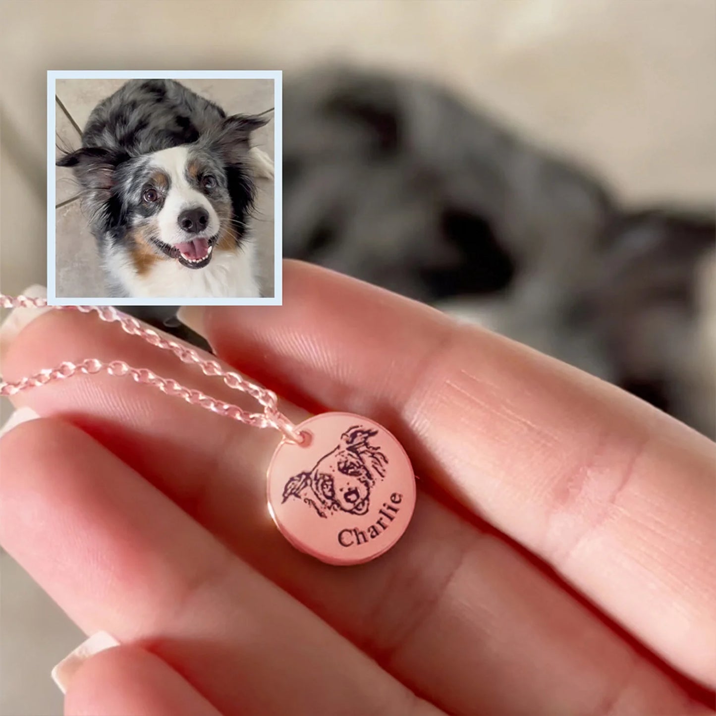 Collar personalizado con rostro de mascota