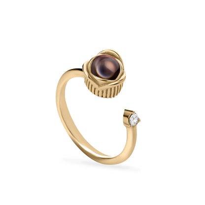 Anillo con foto